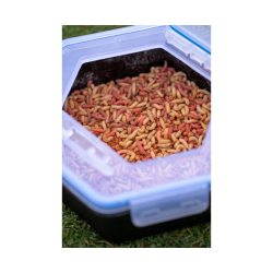 Cutie momeala Zebco - Secure-Lock Bait Box 1.5L